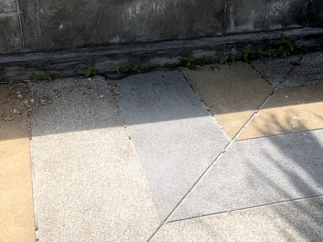 The Rubber Hotel主图