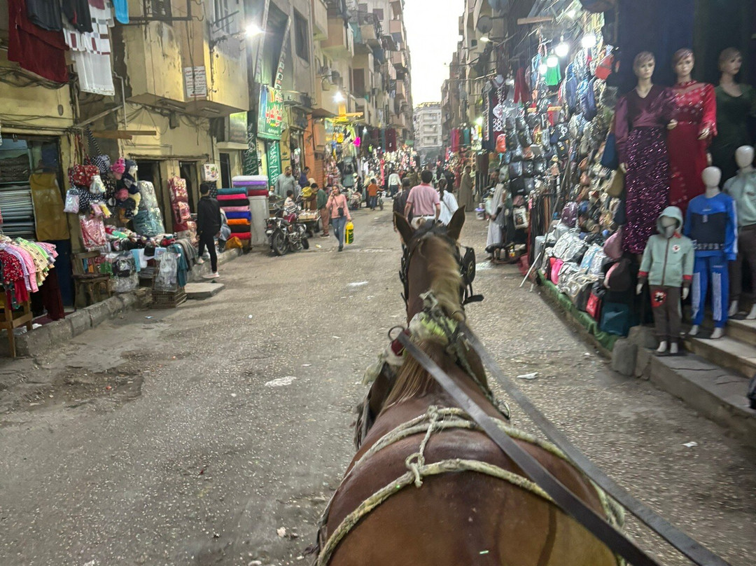 Daily tours egypt-赫尔格达必去景点