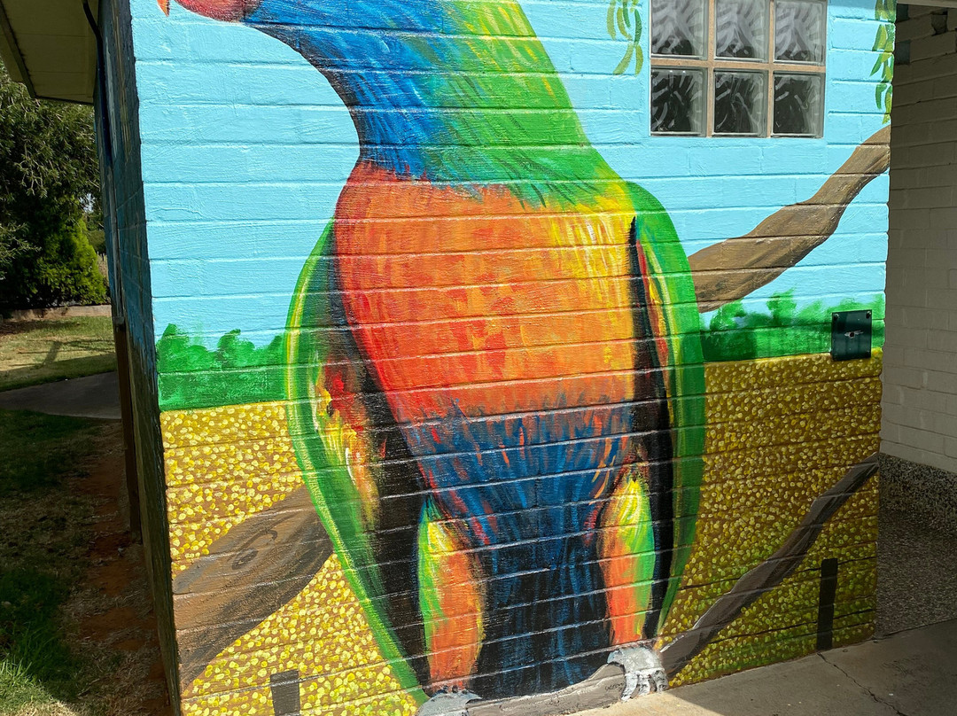 Katamatite Cr Wood Playground-Katamatite必去景点