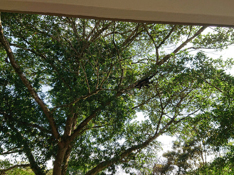 Senda Monteverde Hotel主图