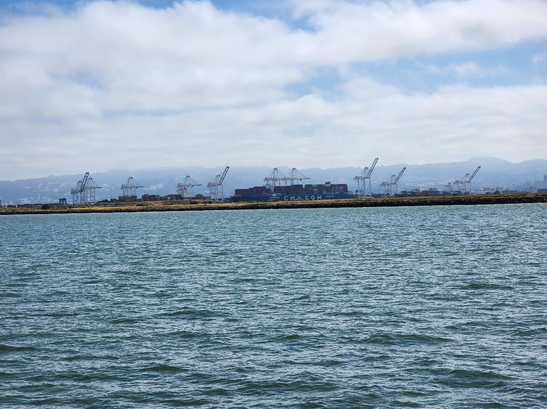 San Francisco Bay Ferry景点图片