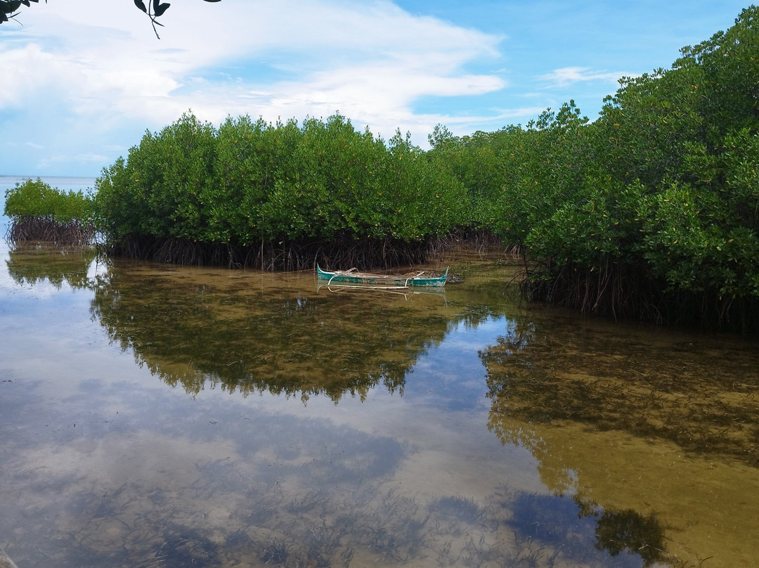 Omagieca Mangrove Garden-班塔延岛必去景点
