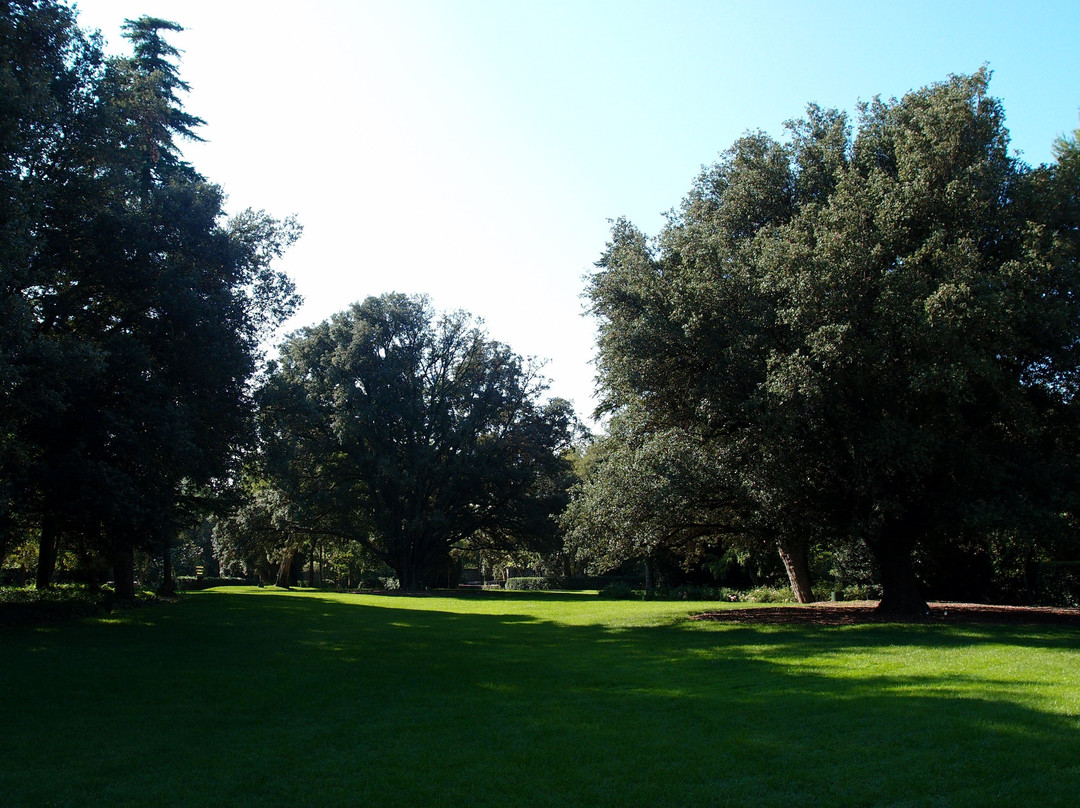 Parc del Castell景点图片