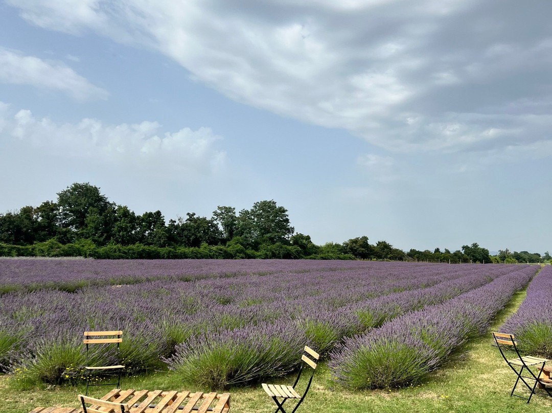 Agriturismo il Molinello-阿夏诺必去景点