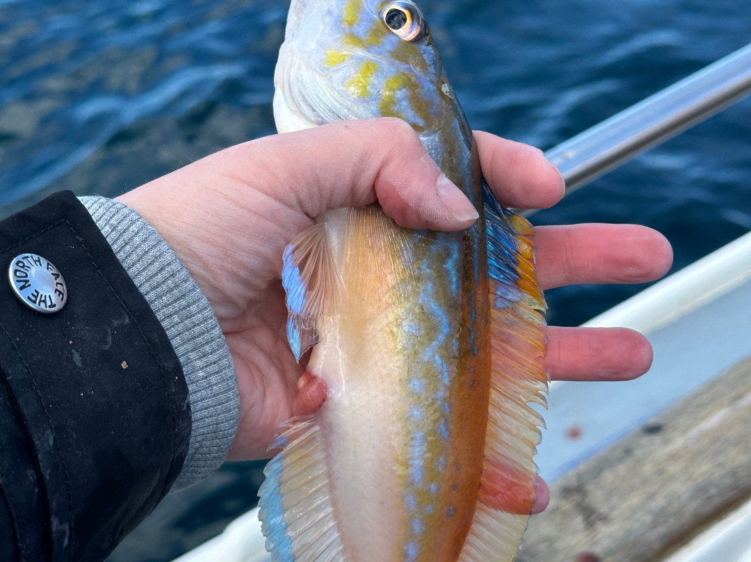 Fishing Adventures-Kilbaha必去景点