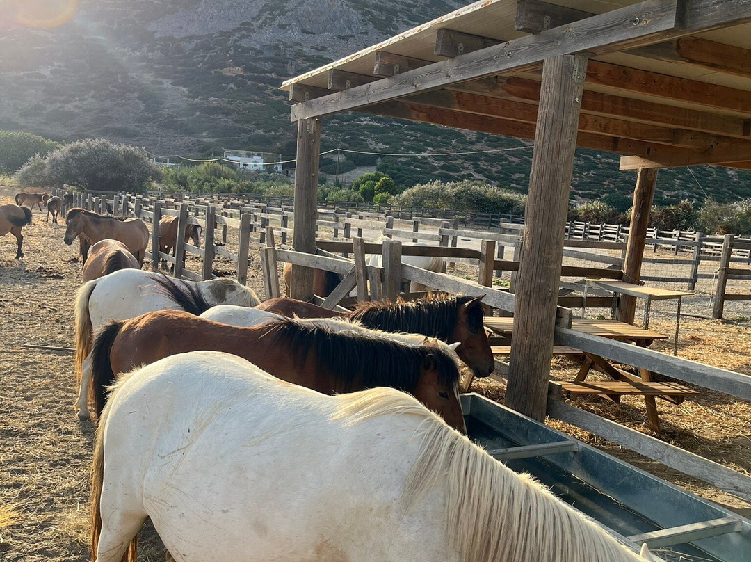 Mouries Farm景点图片