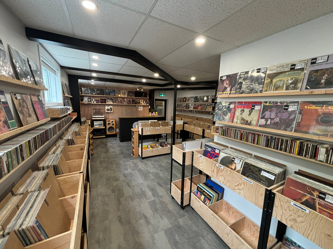 Audiostop Disquaire景点图片