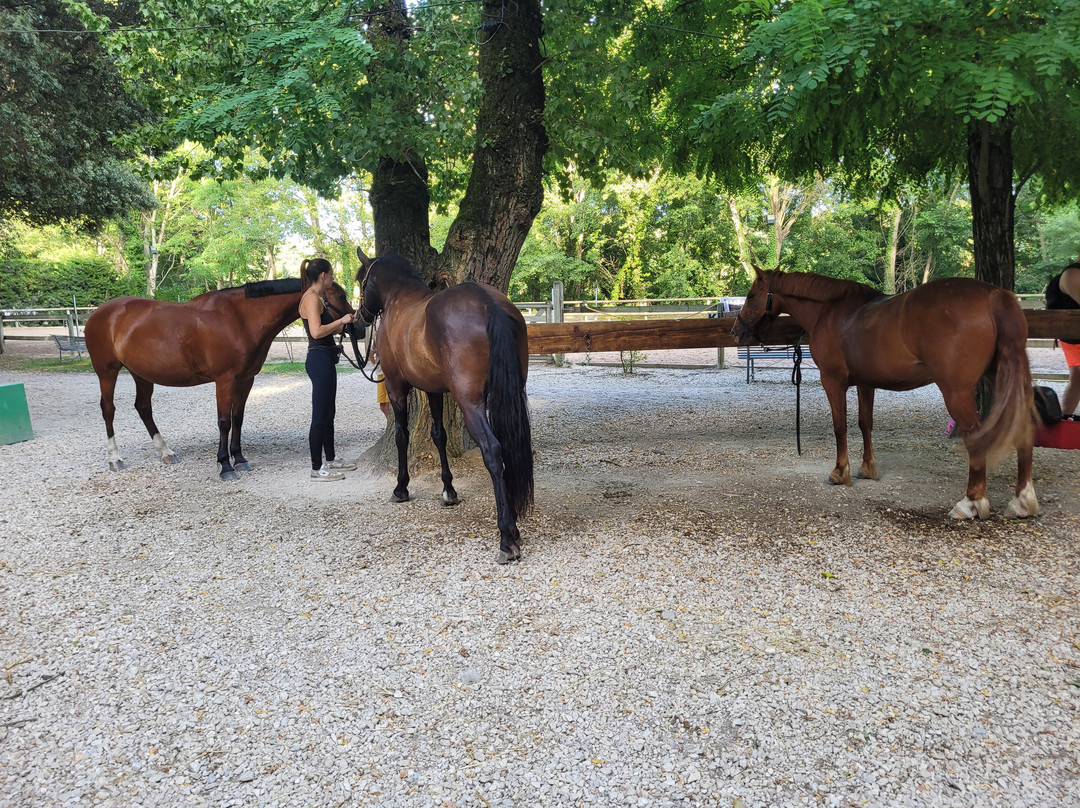 Centre Equestre de Grignan景点图片