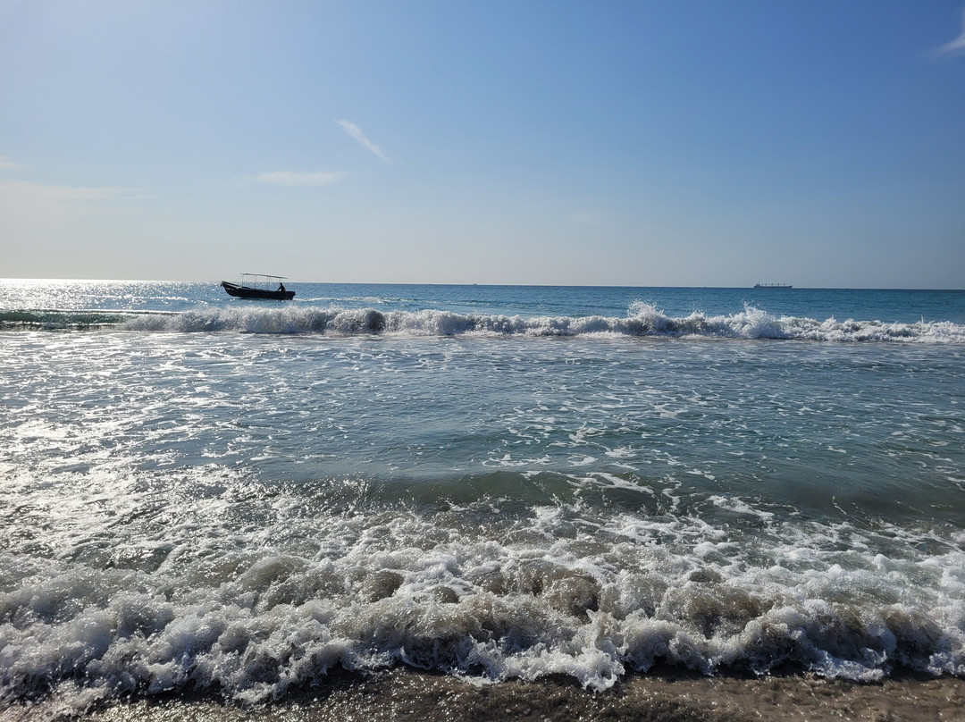 Hotel Theevanni Inn主图