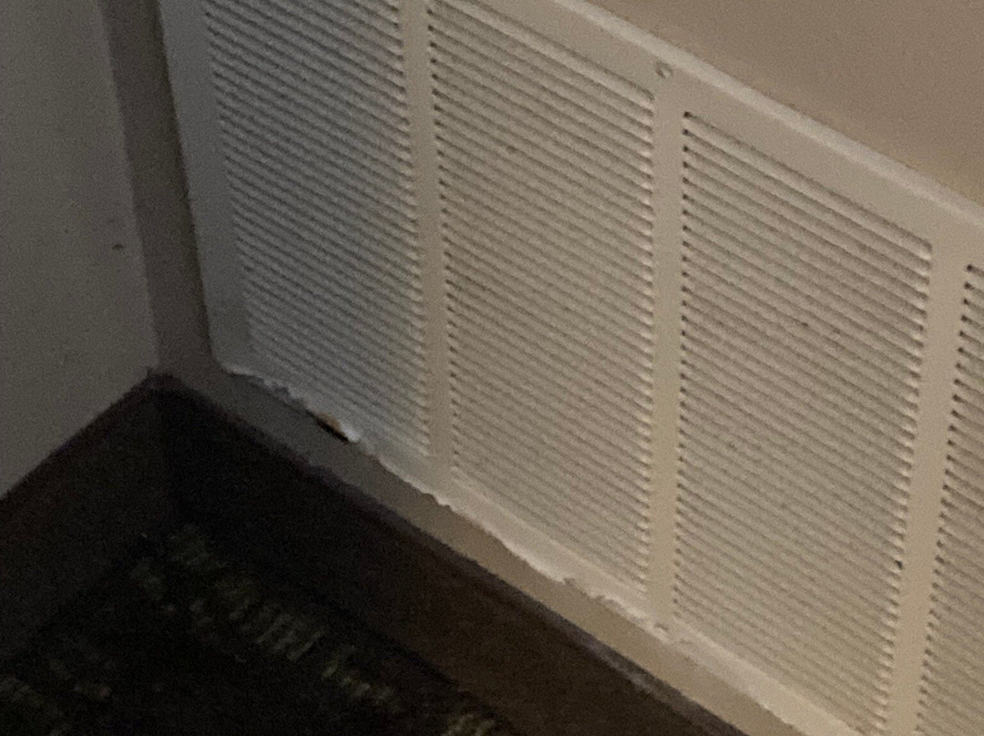 Homewood Suites by Hilton Toledo-Maumee主图