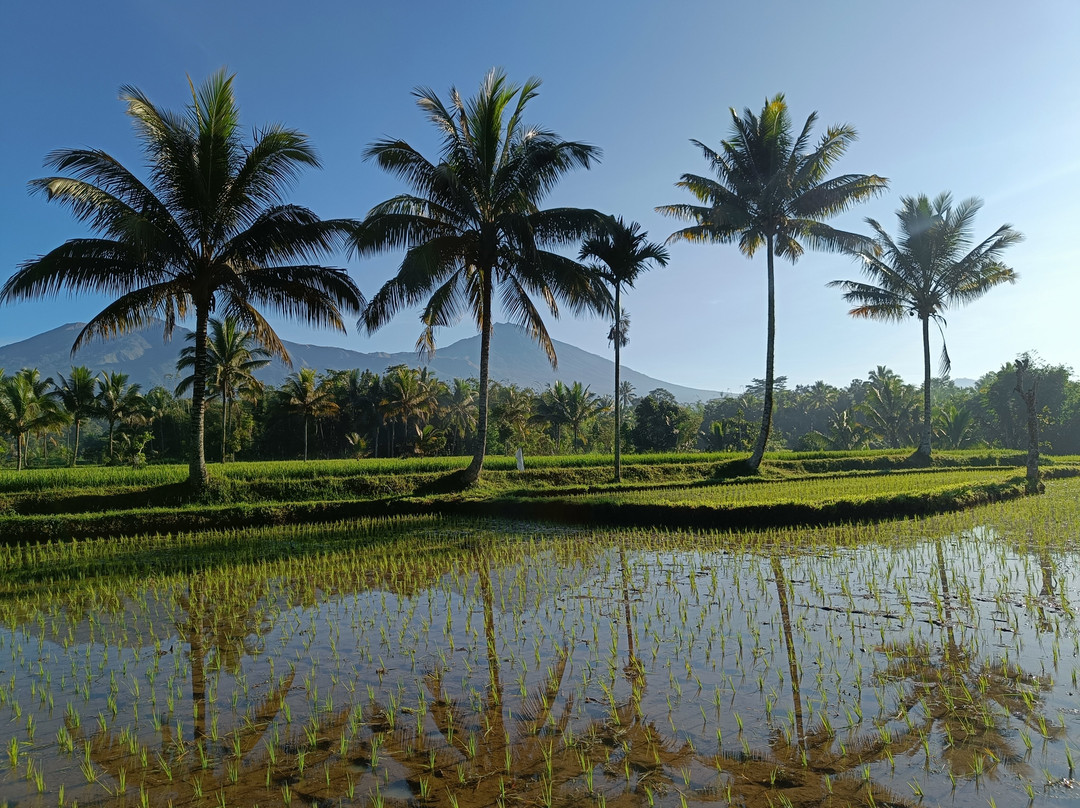 Jaya Tetebatu Tour Guide-Tetebatu必去景点