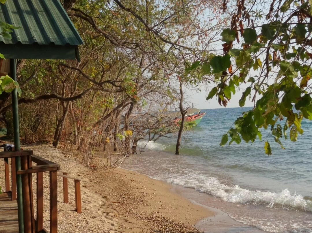 Gombe Safari-Kigoma必去景点