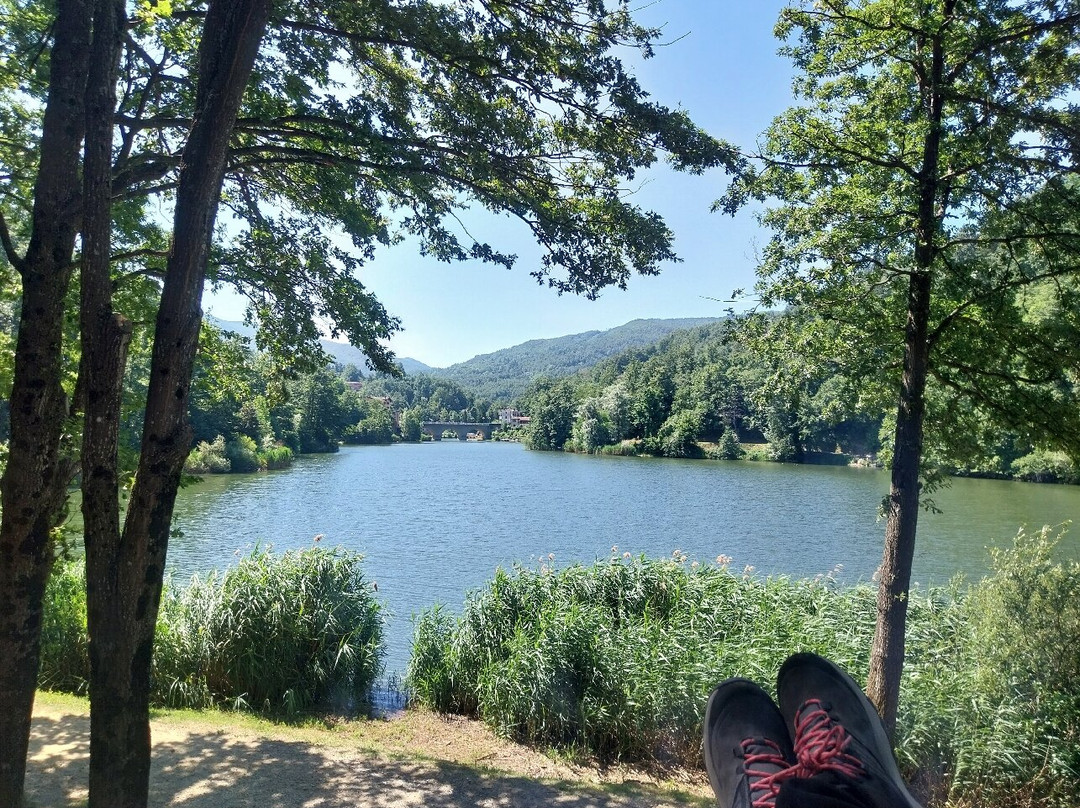Panchina Gigante - Castel dell’Alpi-Castel dell'Alpi必去景点