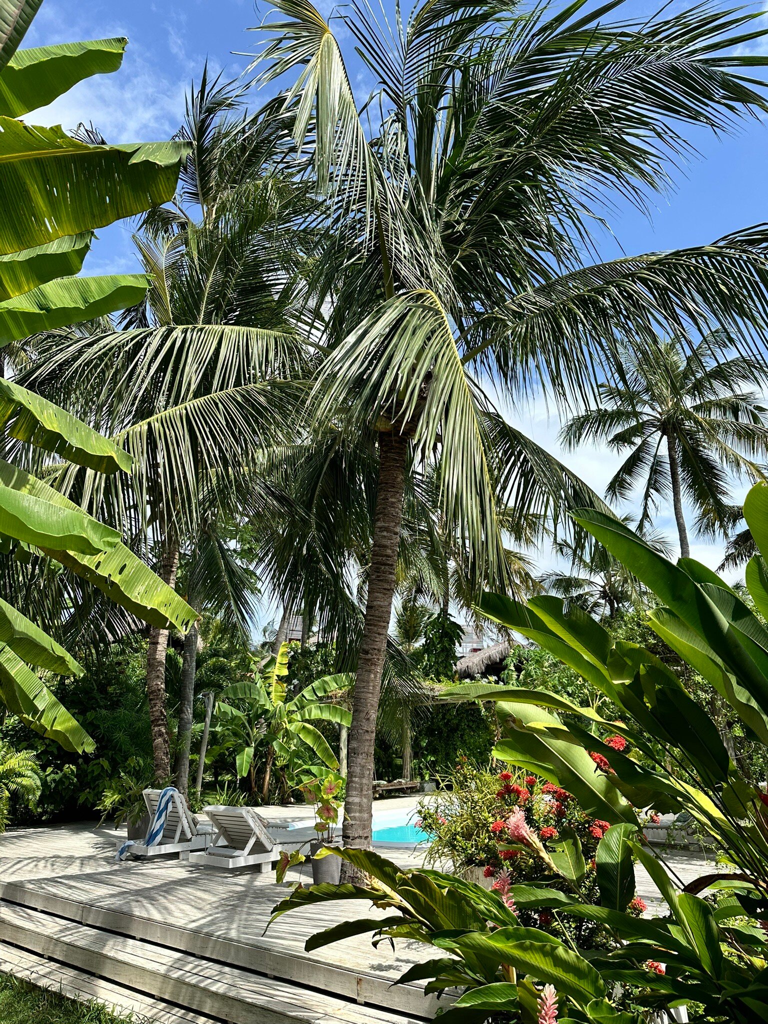 Pousada Pais Tropical-官方