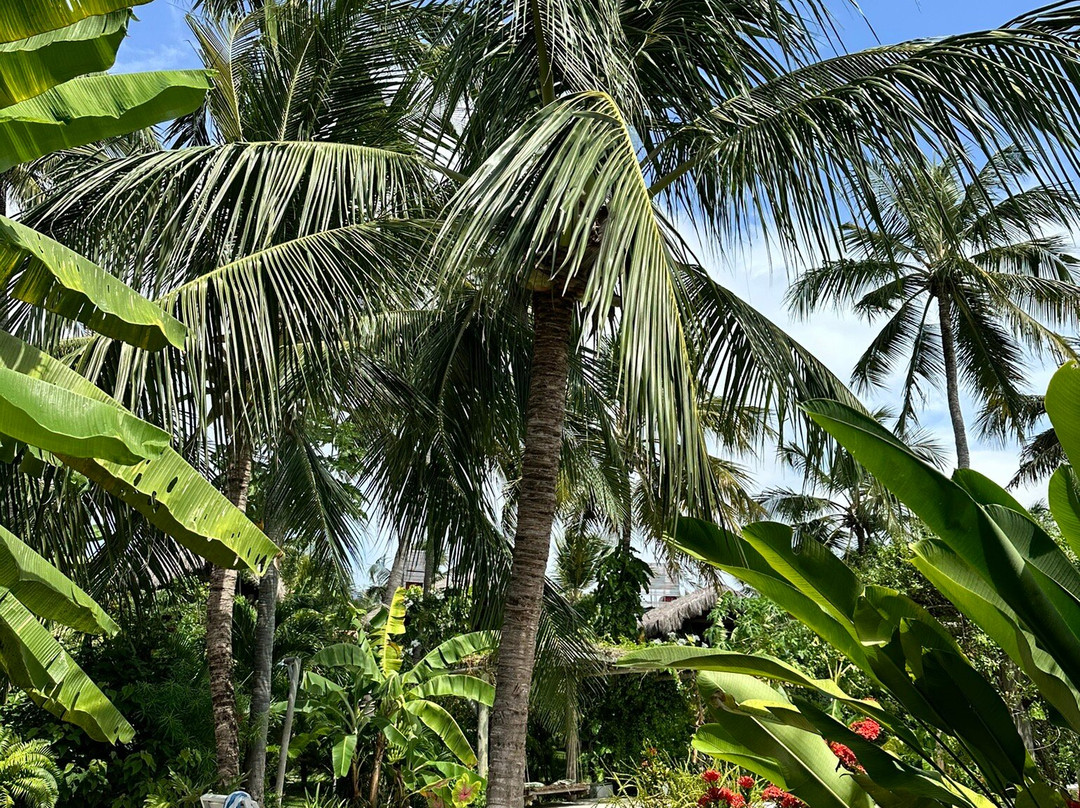 Pousada Pais Tropical主图