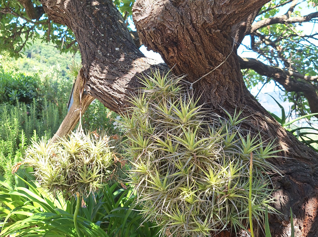 B&B Villa Ginestra主图