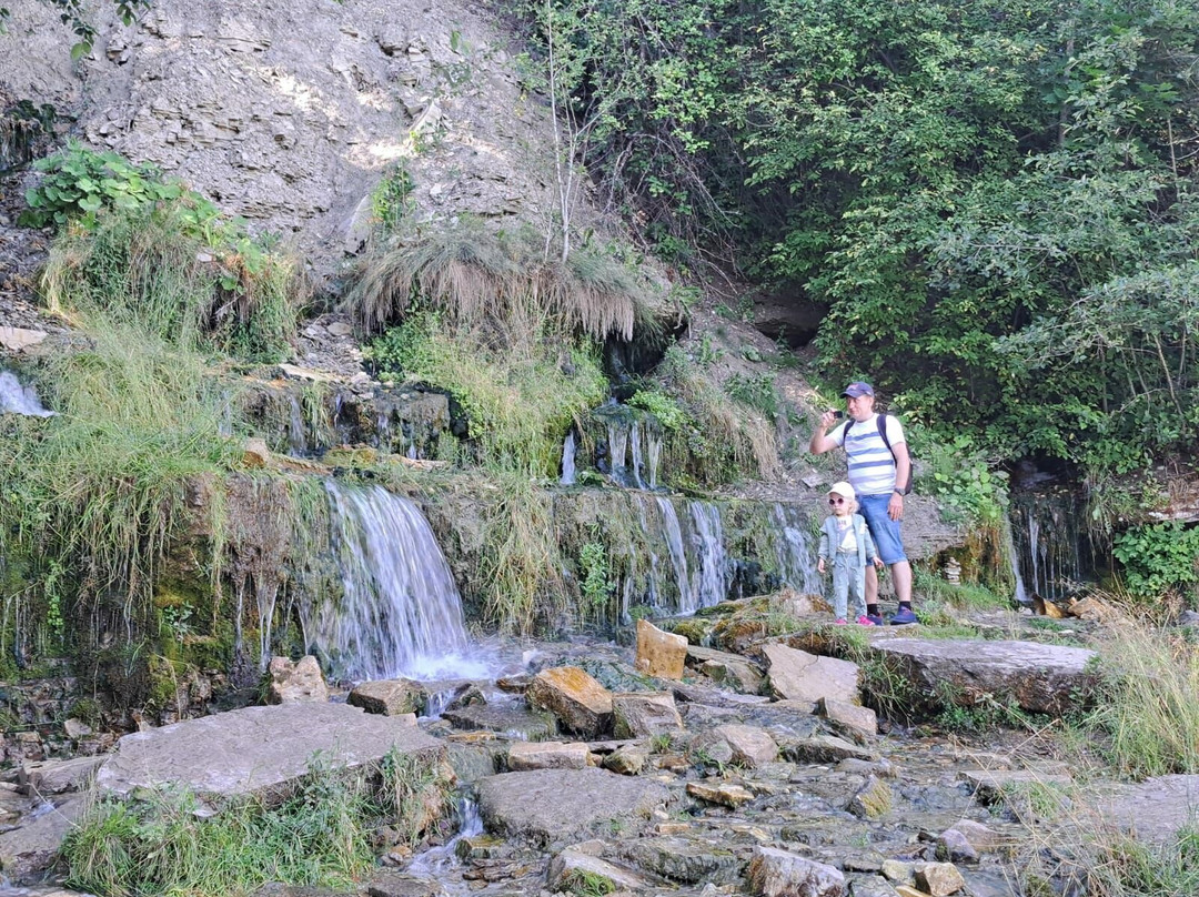 Slovenskiye Springs景点图片