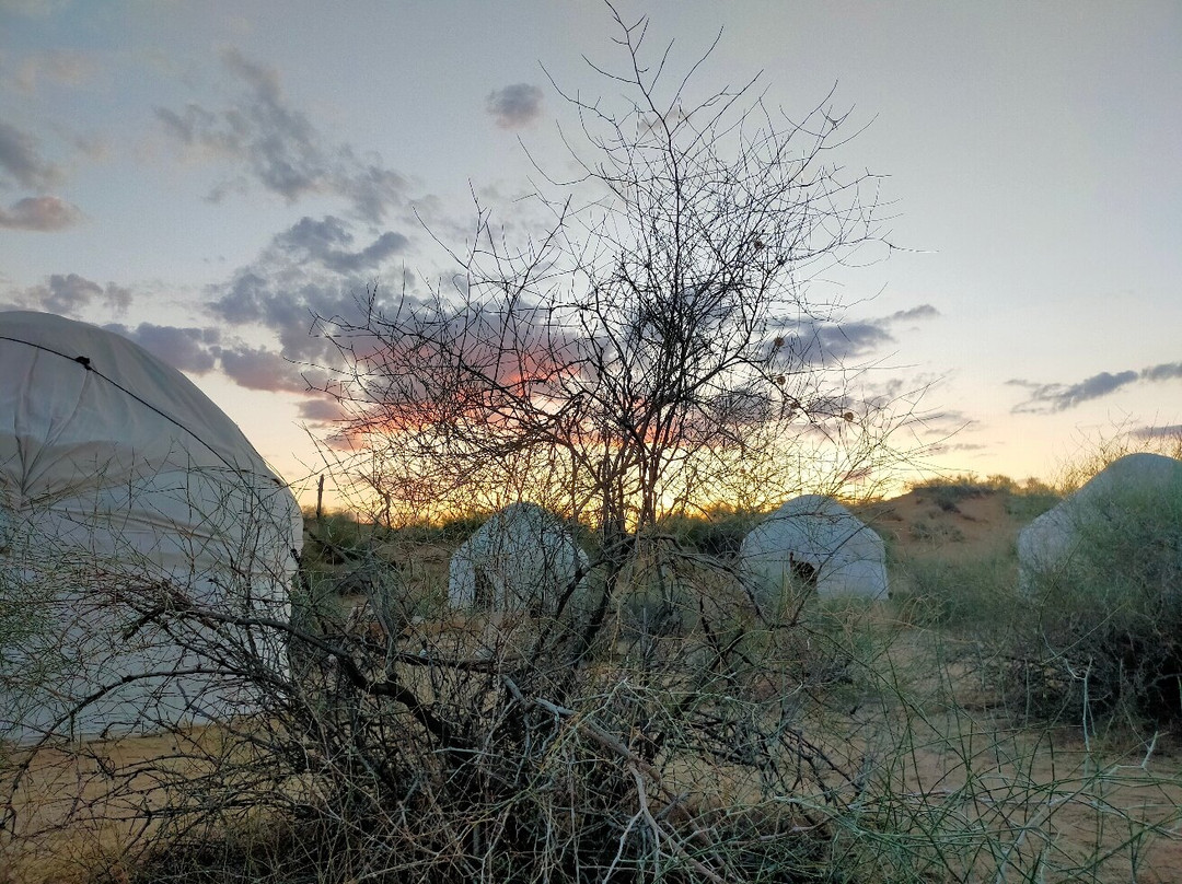 Travel Bliss-撒马尔罕必去景点