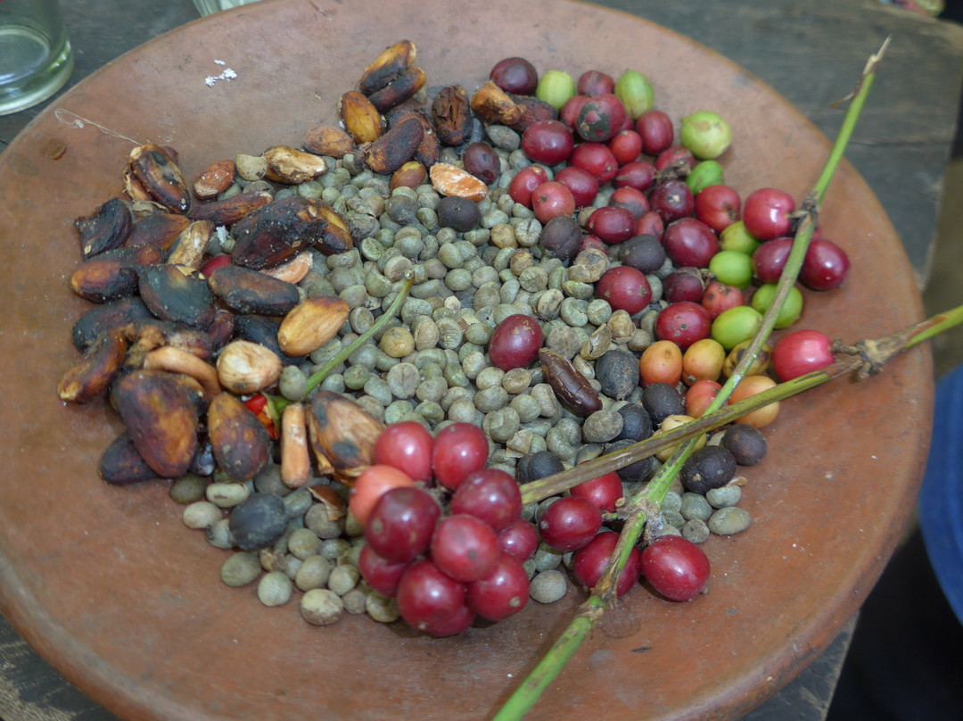 Lombok Forest Tour-Pemenang必去景点