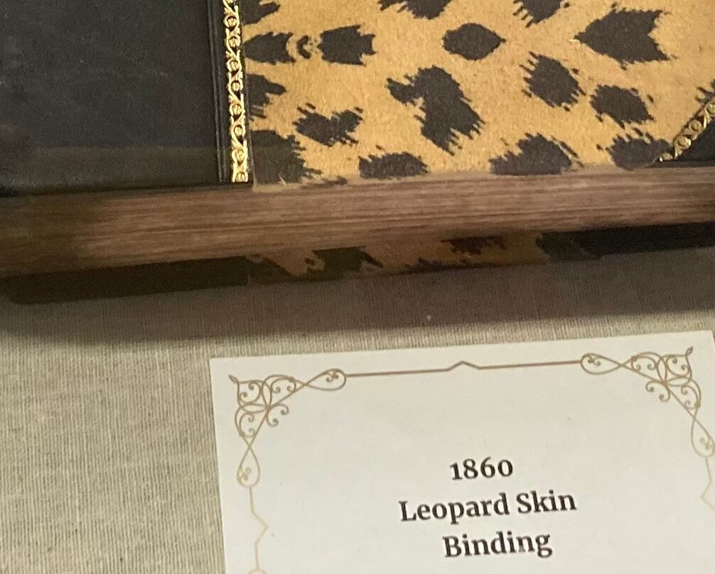 Tennesssee Bible Museum-皮金福奇必去景点