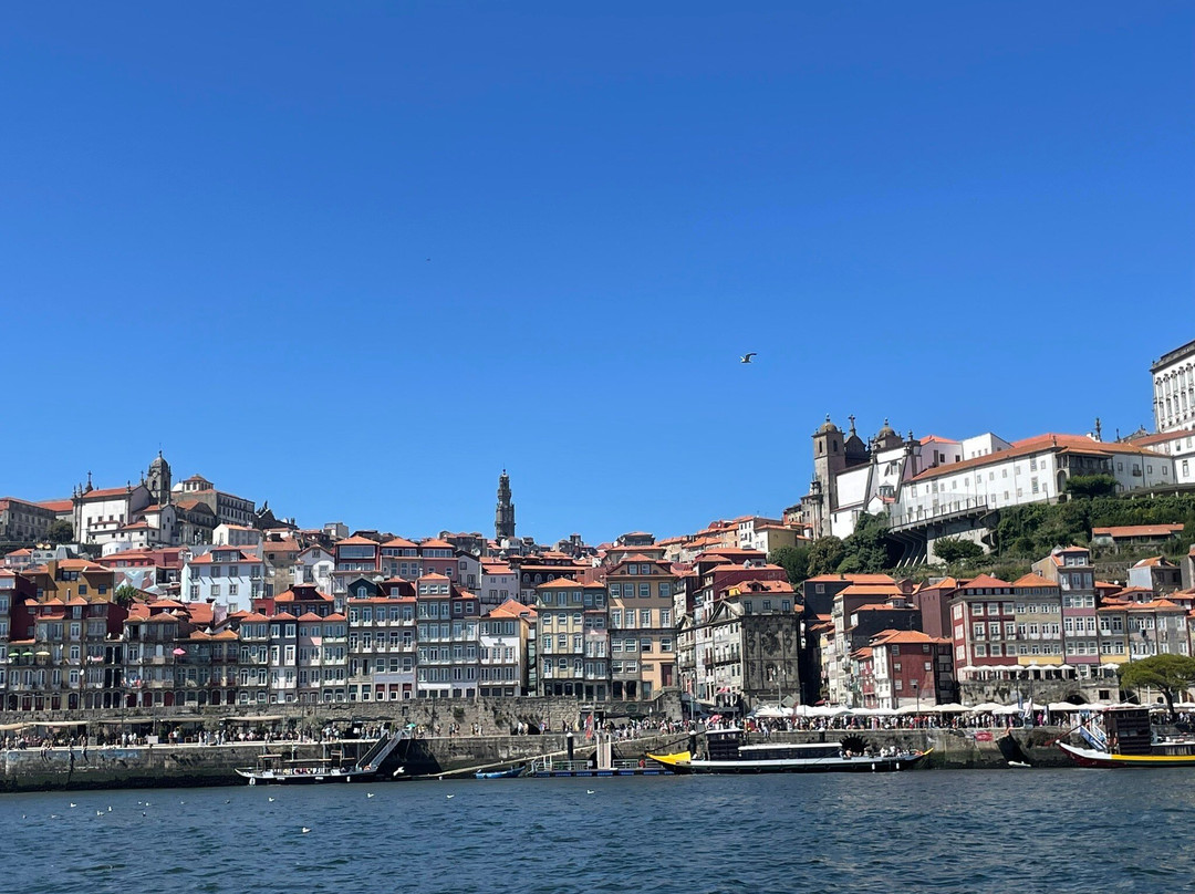 Porto Sailing Spot-波尔图必去景点