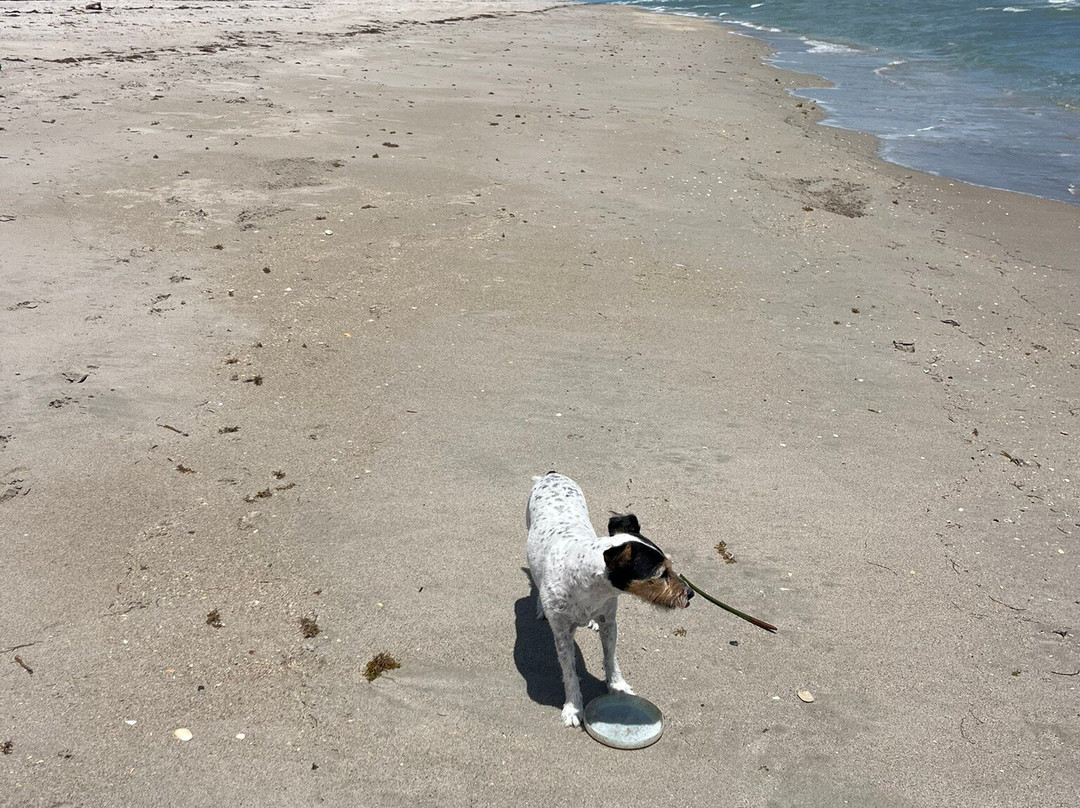 Walton Rocks Beach/ Dog Park景点图片