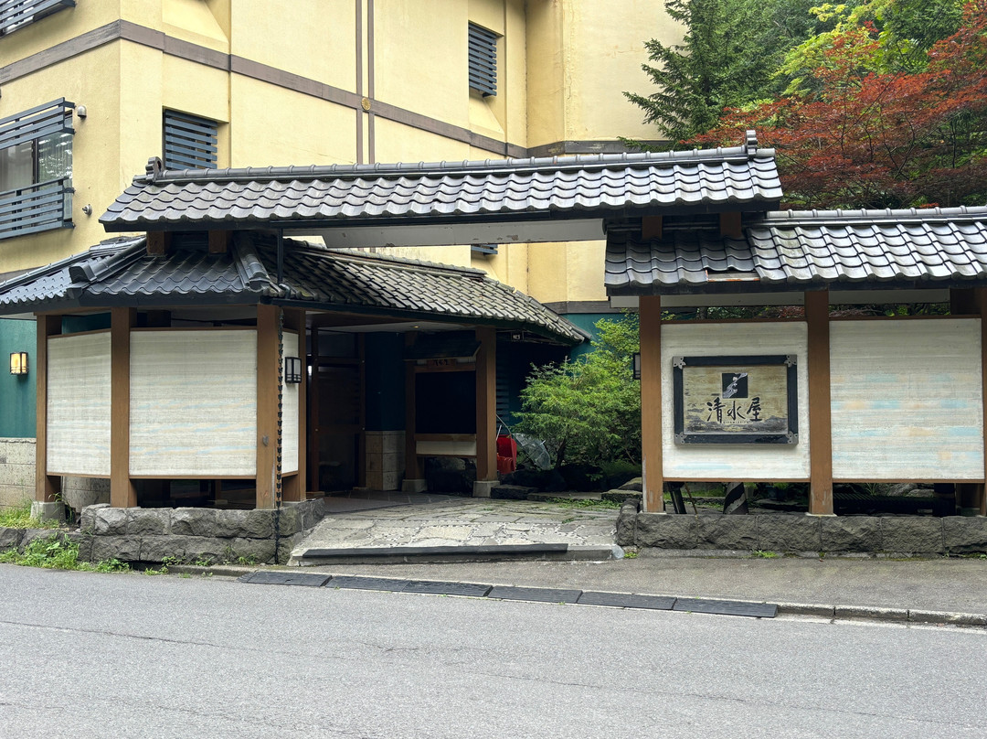 御宿清水屋温泉旅馆主图