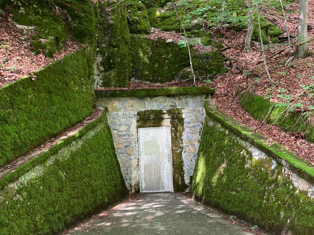 Javoricske Cave景点图片