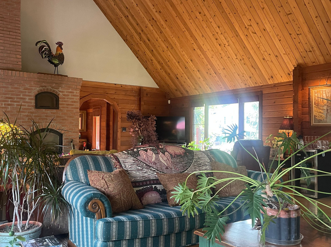 Runaway Rooster主图