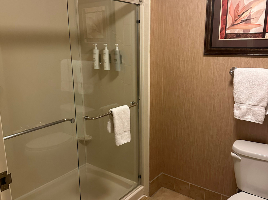 Homewood Suites by Hilton Minneapolis-New Brighton主图