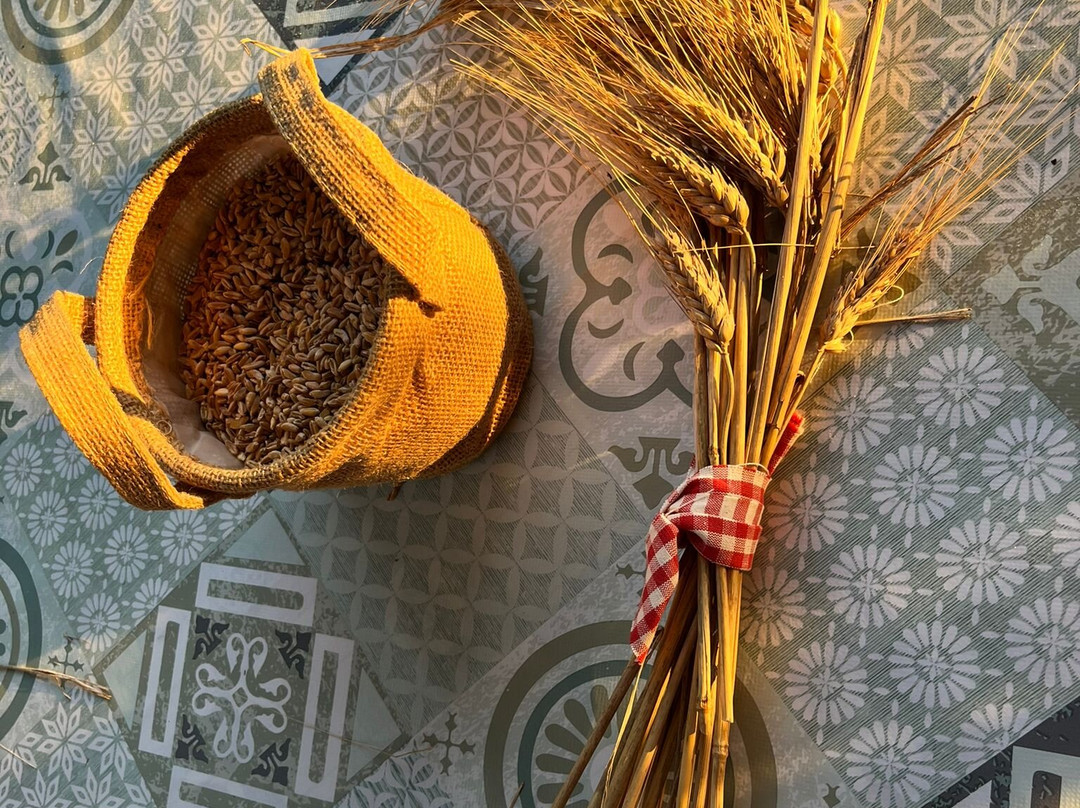 La Solitaria Pasta Farm景点图片