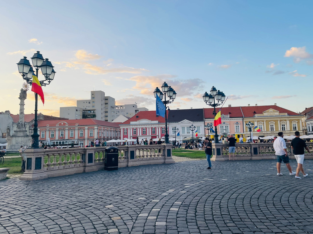 Timisoara Free Tours景点图片