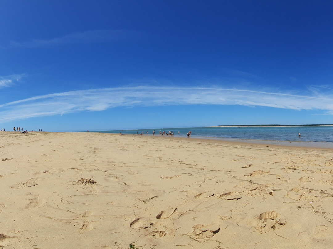 Plage de l'Embellie景点图片