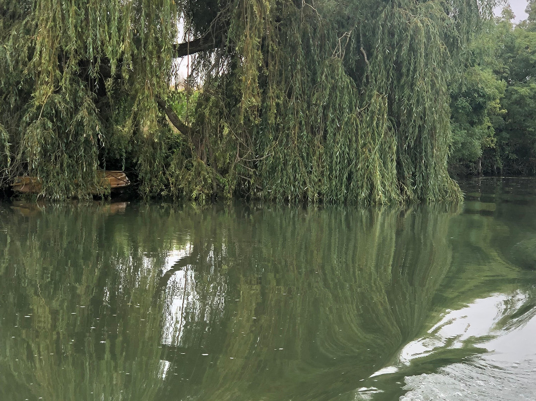 Embarcadère du Marais Poitevin景点图片
