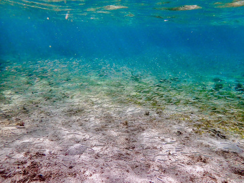 Palad Sandbar-Maniuaya Island必去景点
