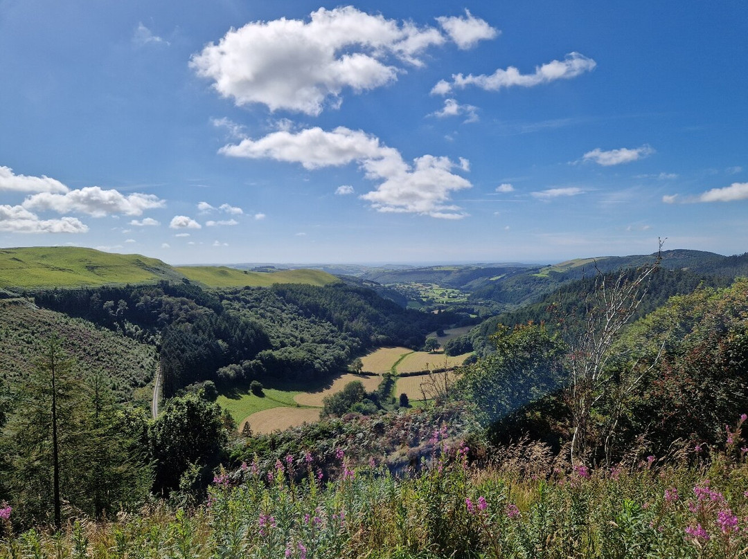 Bwlch Nant yr Arian Forest Visitor Centre景点图片
