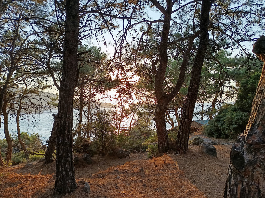 Summer Yoga Sessions-Gialiskari必去景点