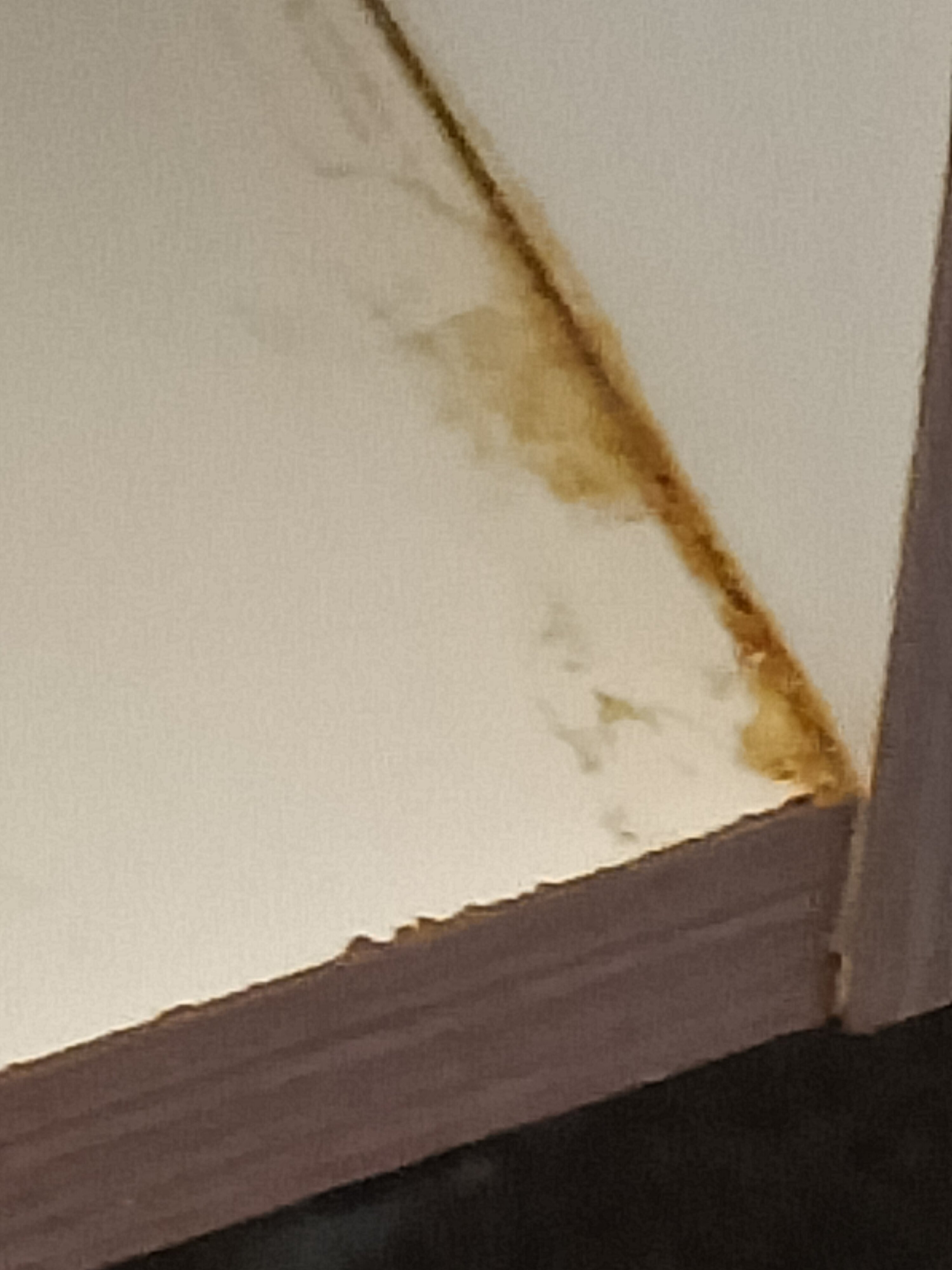 Holiday Inn Express & Suites Walterboro I-95 by IHG-官方