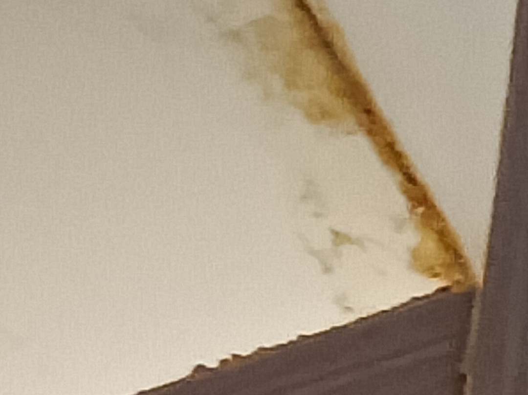 Holiday Inn Express & Suites Walterboro I-95 by IHG主图