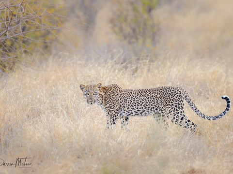 Natures Wonderland Safaris-内罗毕必去景点