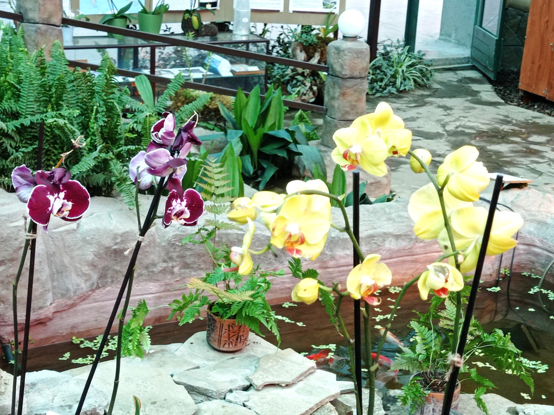 Orchids Museum景点图片