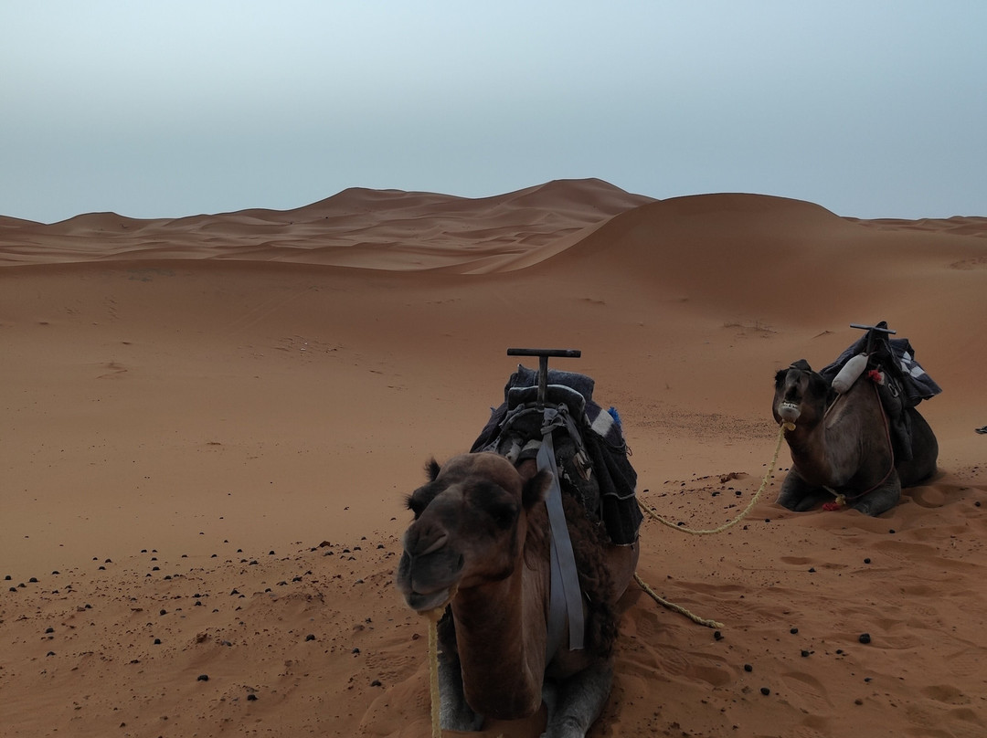 Maroc Adventure景点图片