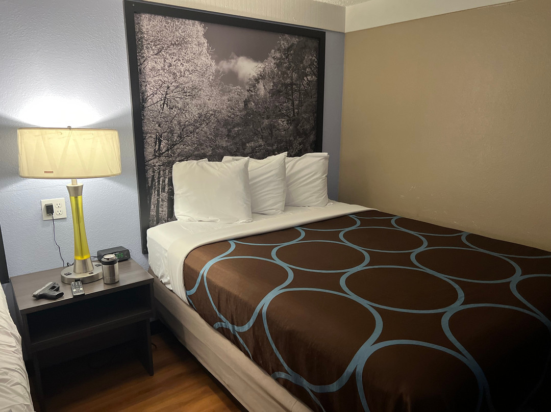 Super 8 by Wyndham Asheville/Biltmore主图