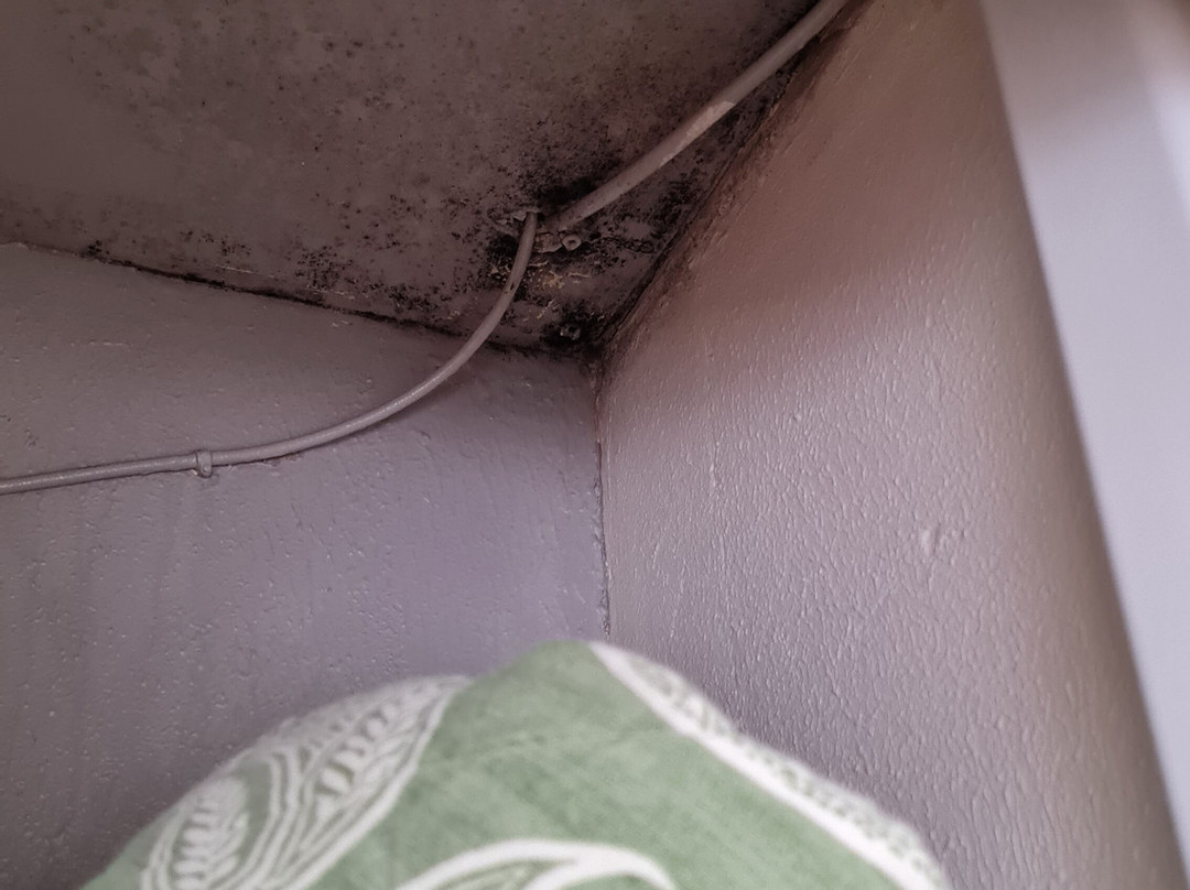 Auberge Les Charmilles主图