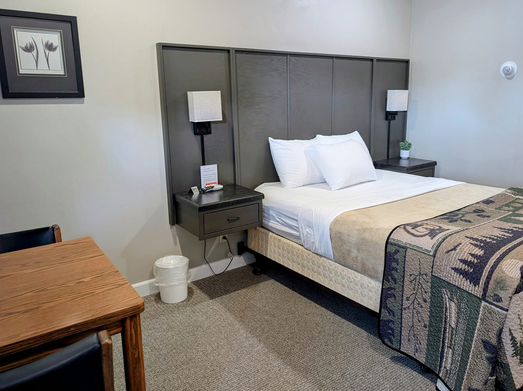 Lakeshore Motor Inn主图