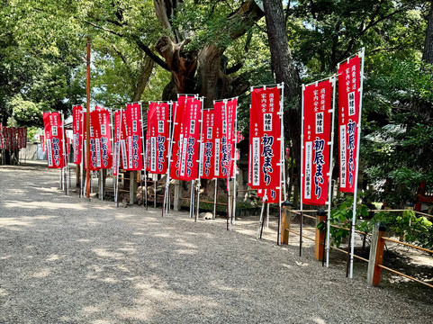 橘通大街-大阪市必去景点