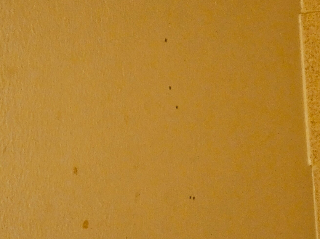 拉斐特希尔顿惠庭套房酒店主图