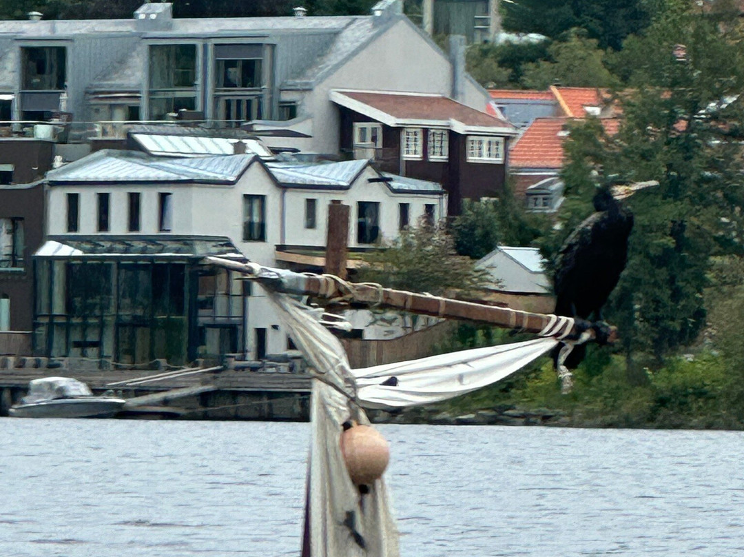 Trondheim Kajakk景点图片