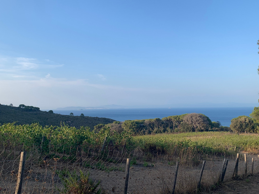 Tenuta Delle Ripalte主图