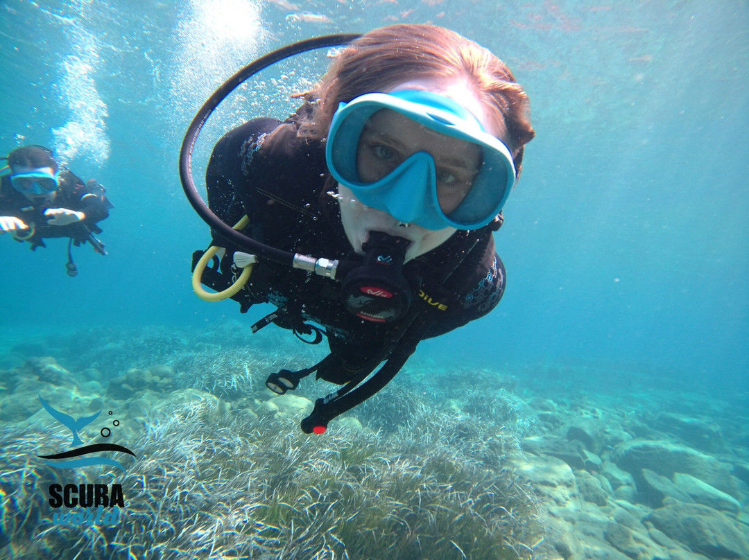 Scuba World Diving Center景点图片